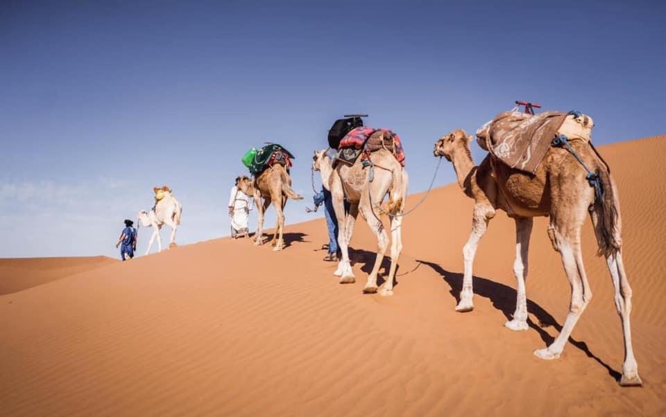 Camp Desert Bivouac Chegaga El Gouera 外观 照片