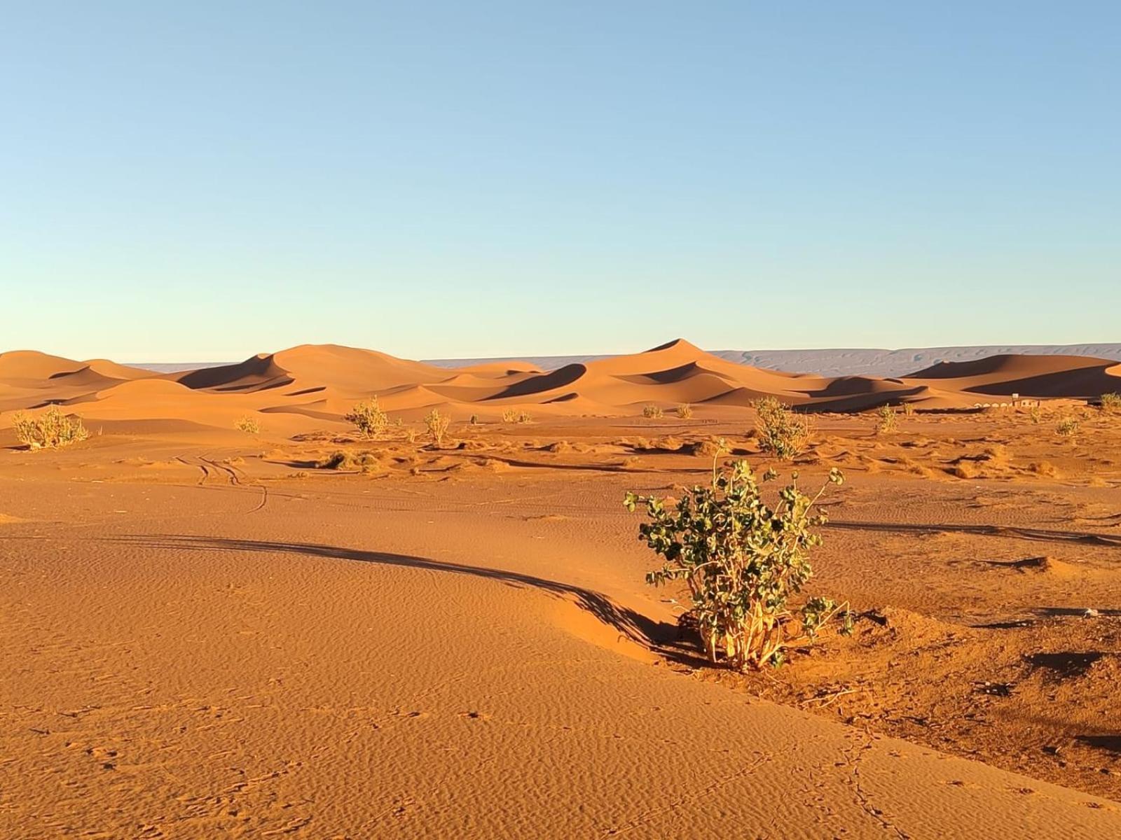 Camp Desert Bivouac Chegaga El Gouera 外观 照片
