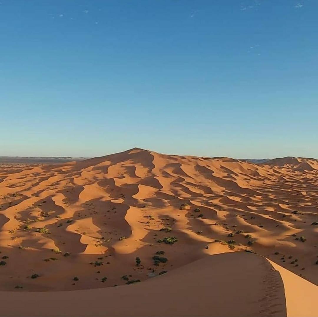 Camp Desert Bivouac Chegaga El Gouera 外观 照片