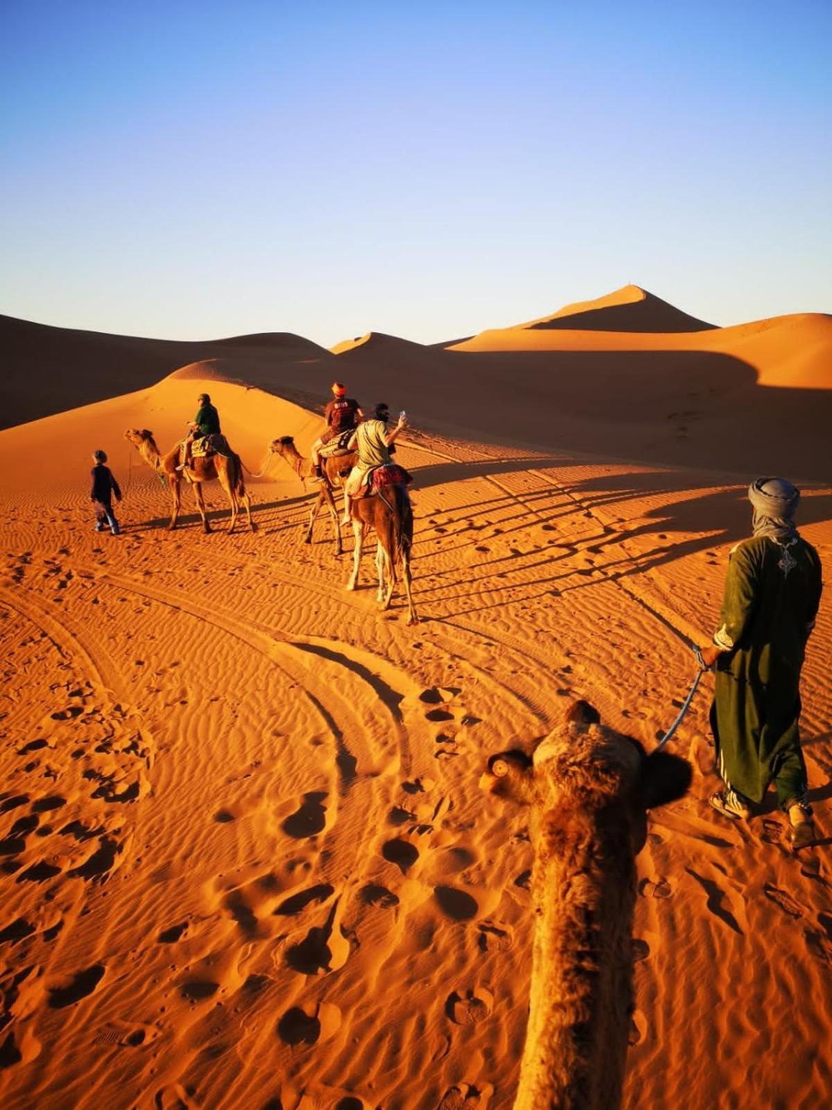 Camp Desert Bivouac Chegaga El Gouera 外观 照片