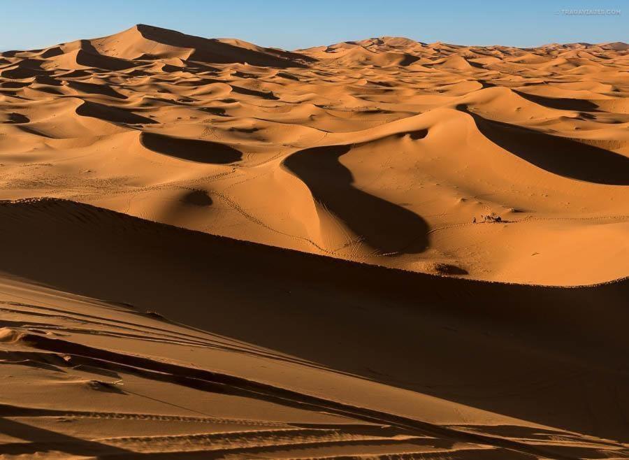 Camp Desert Bivouac Chegaga El Gouera 外观 照片