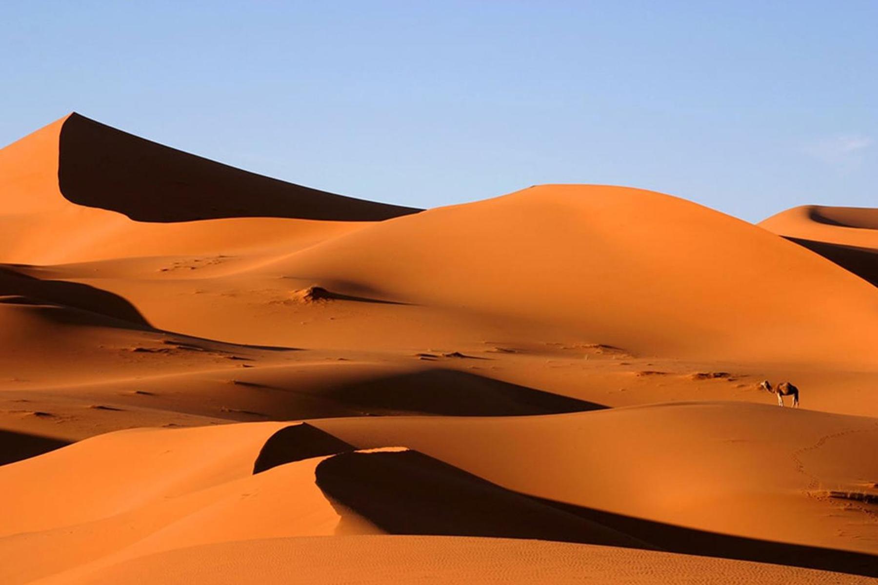 Camp Desert Bivouac Chegaga El Gouera 外观 照片