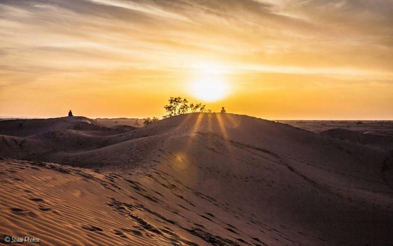Camp Desert Bivouac Chegaga El Gouera 外观 照片