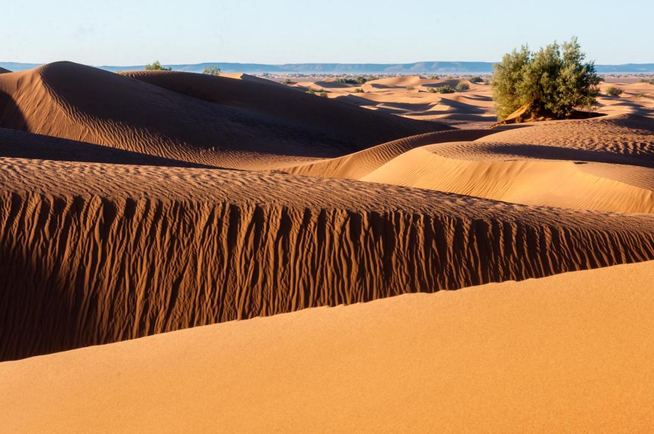 Camp Desert Bivouac Chegaga El Gouera 外观 照片